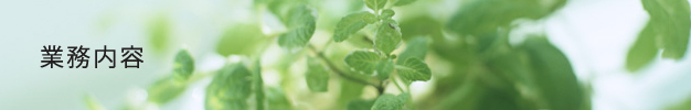 業務内容